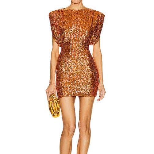 Vicki Crewneck Short-Sleeved Sequined Mini Dress - Hot fashionista